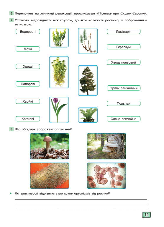 05008q2d-fefc-556x768.png