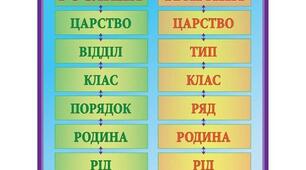 10 кл. Лабораторна робота №1. Визначення таксономічного положення виду в системі органічного світу.