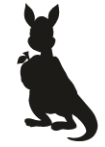 05008sao-21d2-105x147.png