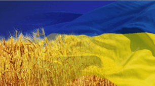 Біологічний диктант "Тварина - живий організм"