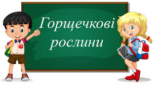 Класифікація рослинного світу: найважливіші таксономічні одиниці. Значення рослин у житті людини.