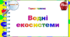 4 клас. Тематичні тестові завдання. Тиждень 16. "Водні екосистеми "
