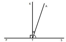 05008xcv-e904-215x139.png