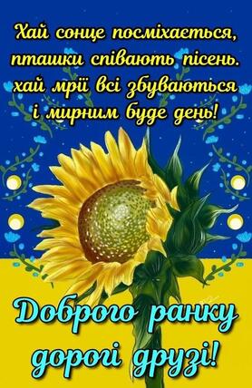 05008zo8-a42d-278x428.jpg