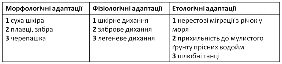 0500910w-611d-940x214.png