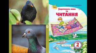 Добре того вчити, хто хоче знати. «Дрізд і голуб» (укра­їнська народна казка).