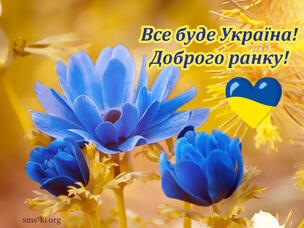 0500943q-c65c-304x228.jpg