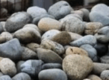 05009533-9a4f-154x113.png