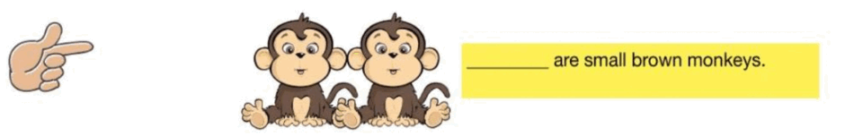 050097tb-534d-940x152.png