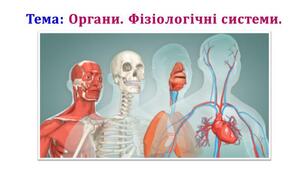Урок 6/4 Органи. Фізіологічні системи.