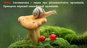 Урок 5/1. Систематика – наука про різноманітність організмів. Принципи наукової класифікації організмів.