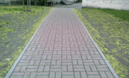 0500997u-6965-253x154.png