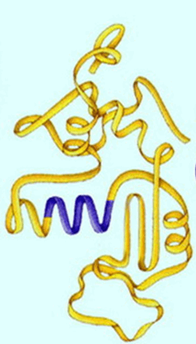 05009ag6-21f6-285x500.png