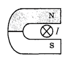 05009bii-aee9-148x120.png