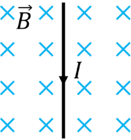 05009d3o-bc79-748x800.png
