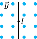 05009d3r-654c-755x800.png