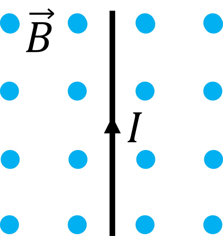05009d3r-654c-755x800.png