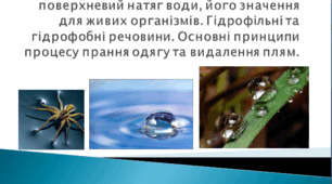Презентація "Поверхневий натяг. Поняття про поверхневий натяг води, його значення для живих організмів. Гідрофільні та гідрофобні речовини. Основні принципи процесу прання одягу та видалення плям. НУШ"