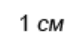 05009ibj-9506-77x43.png