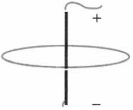 05009inj-8f6c-272x225.png