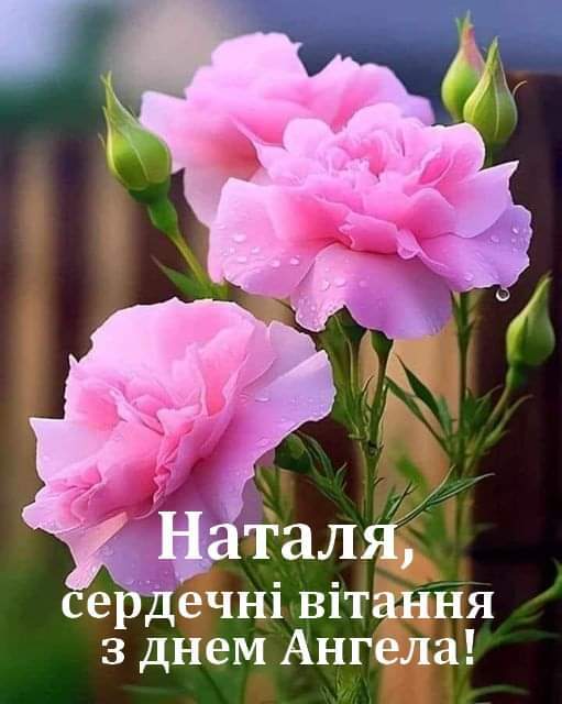 05009jig-3d8a-511x640.jpg