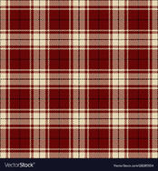 Check pattern Royalty Free Vector Image - VectorStock