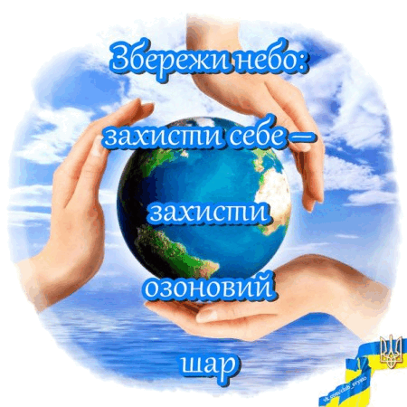 05009l61-a6e3-450x450.png
