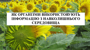 Презентація на тему "Як організми використовують інформацію з навколишнього середовища" 6 кл НУШ