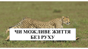Презентація на тему "Чи можливе життя без руху" 6 кл НУШ