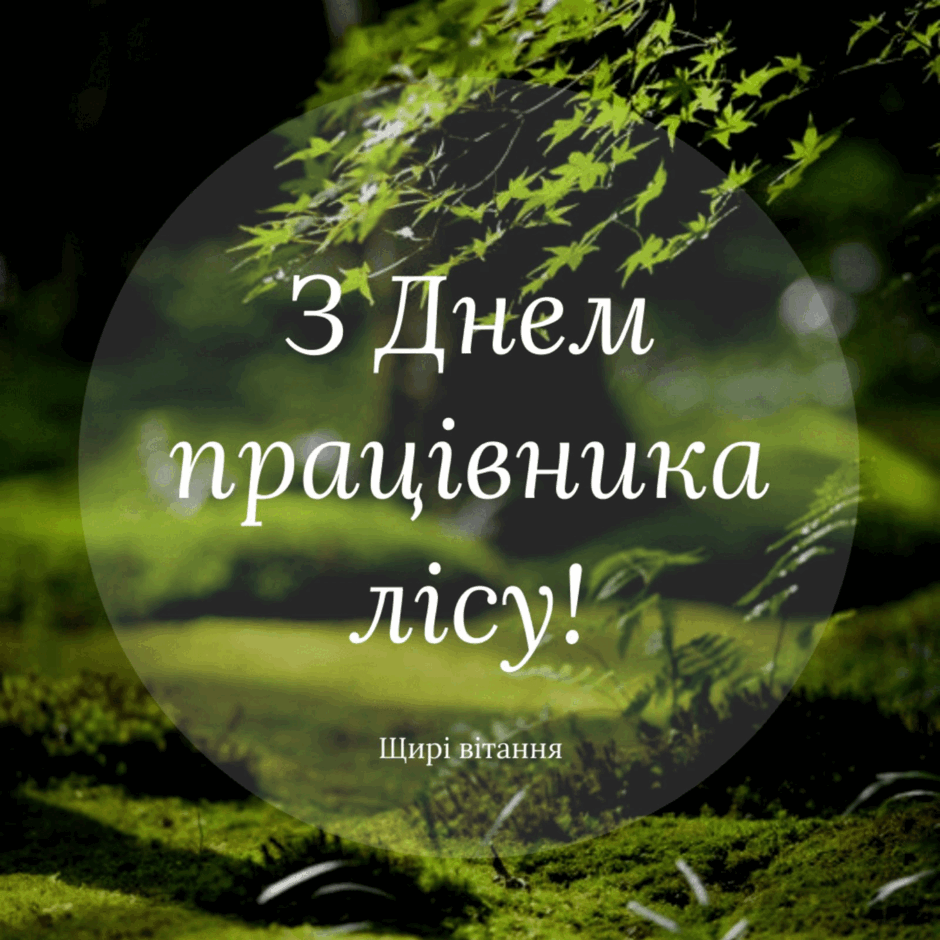05009nla-0f6b-940x940.png