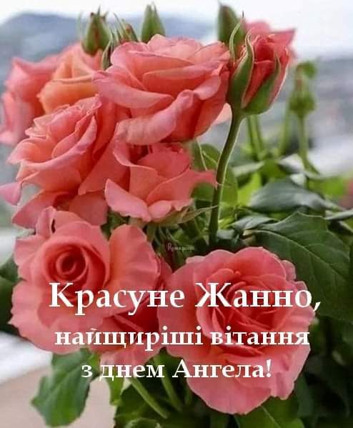 05009q4z-9d2b-494x599.jpg