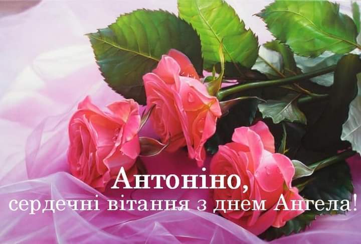 05009q82-5b5a-720x486.jpg