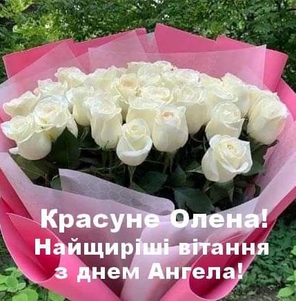 05009qa9-df33-429x435.jpg