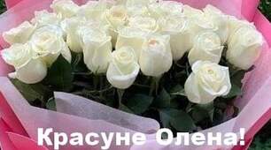 Олені вітання 