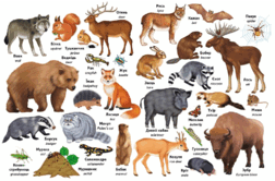 05009sbj-9b59-252x166.png