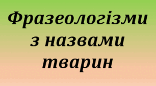  Фразеологізми з назвами тварин. Підготовка до ЗНО/НМТ.