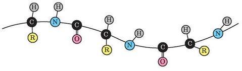 05009sgn-5dac-479x141.jpg