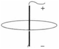 05009xrq-d139-195x161.png