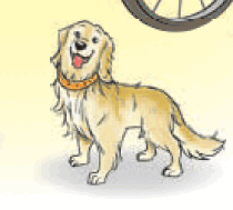 05009xvm-21f4-210x189.png