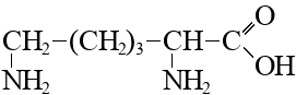05009yty-189a-271x87.png