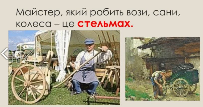05009zk8-0774-815x429.png