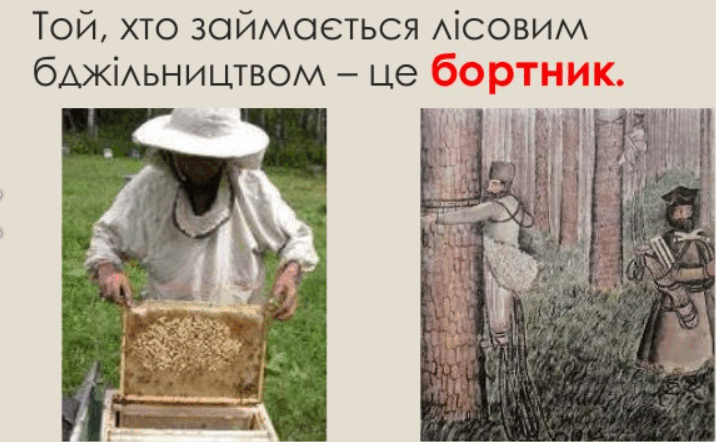 05009zkh-8088-716x442.png