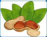 0500a1p3-ce0d-184x145.png