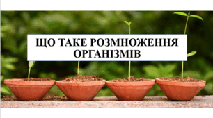 Презентація на тему "Що таке розмноження організмів" 6 кл НУШ
