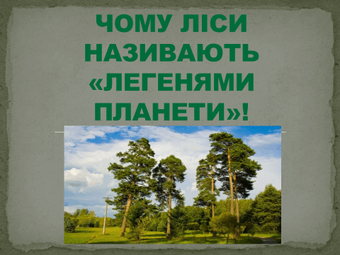 0500a5qa-d862-480x360.png