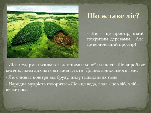 0500a5qo-6162-480x360.png
