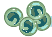 0500a5yj-5002-215x151.png