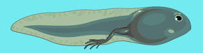 0500a5z8-224d-291x76.png