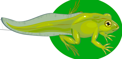 0500a5zp-8e09-392x190.png
