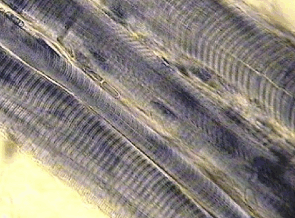 0500a7i8-db7b-596x441.png